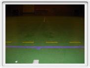 RENNES 1 FEV 2004 Pics49.jpg